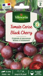 Tomate Black Cherry